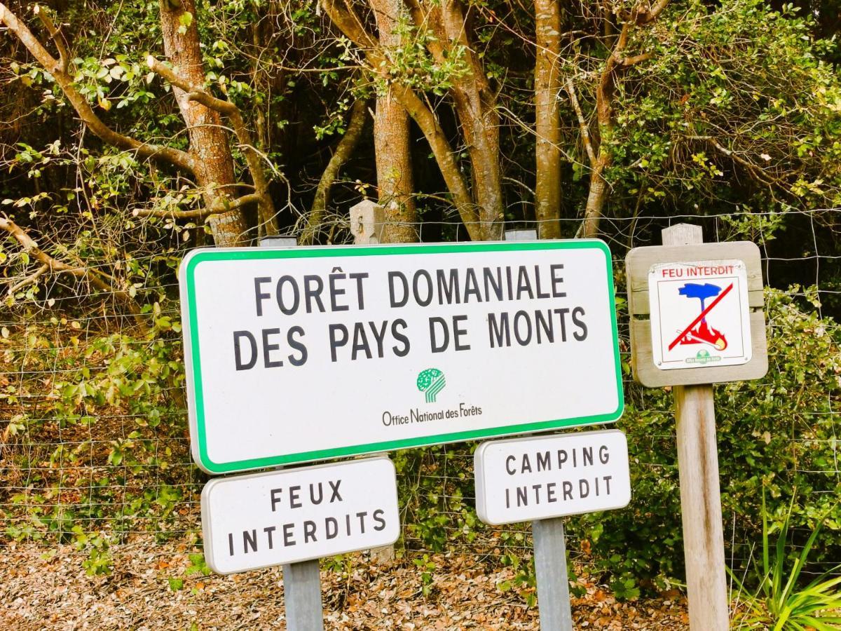Les Jacinthes Saint-Jean-de-Monts Exterior foto